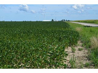 Property photo 13 - 233 +/- Acres Offered in 3 Tracts, Ohio Land Auction